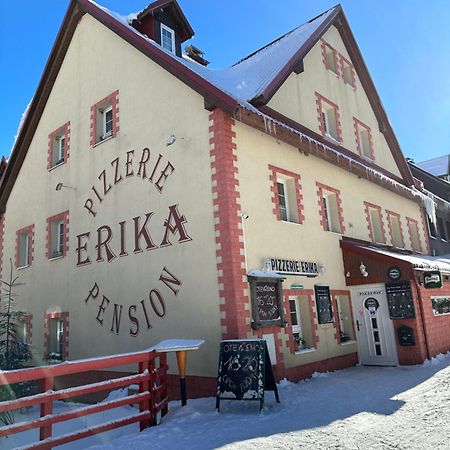 Hotel Penzion Erika Boží Dar Exterior foto