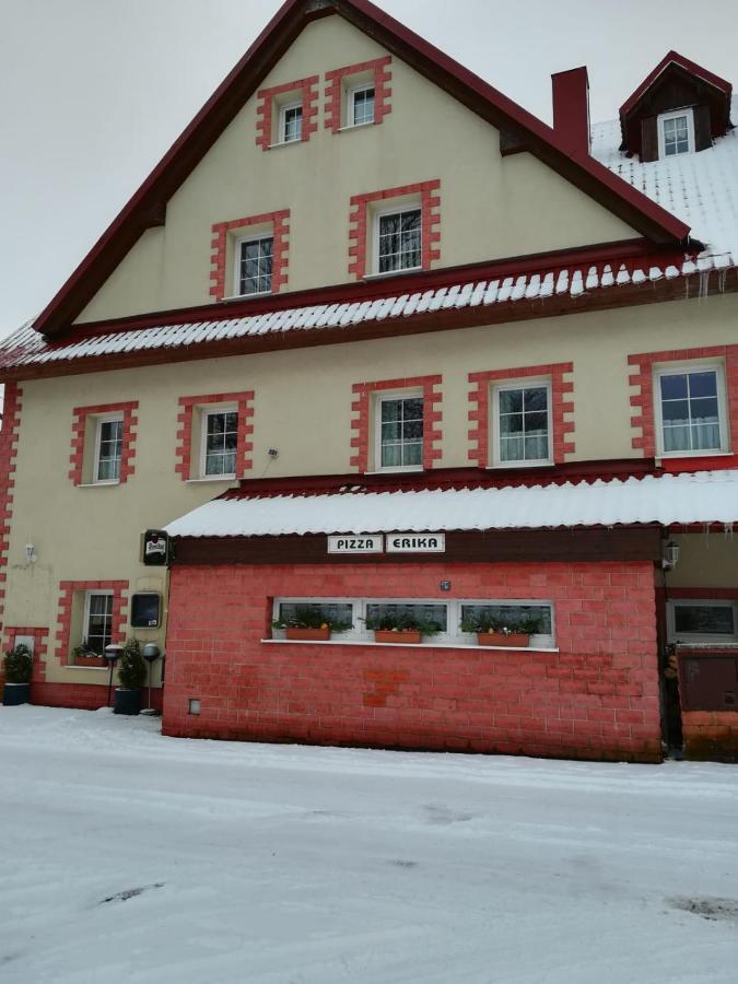 Hotel Penzion Erika Boží Dar Exterior foto